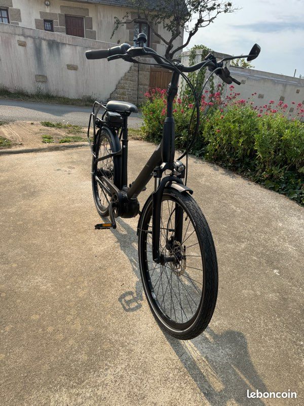 Vélo à assistance électrique Giant (image 1)