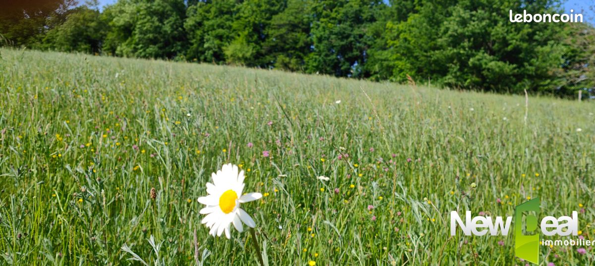 Terrain 5 060 m² Tulle · 86 000 €