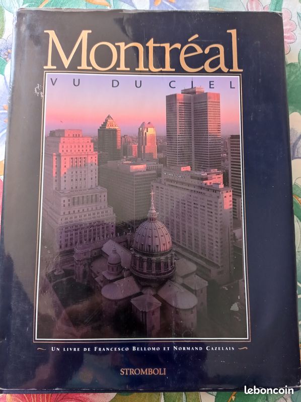 Montréal vu du ciel (image 1)