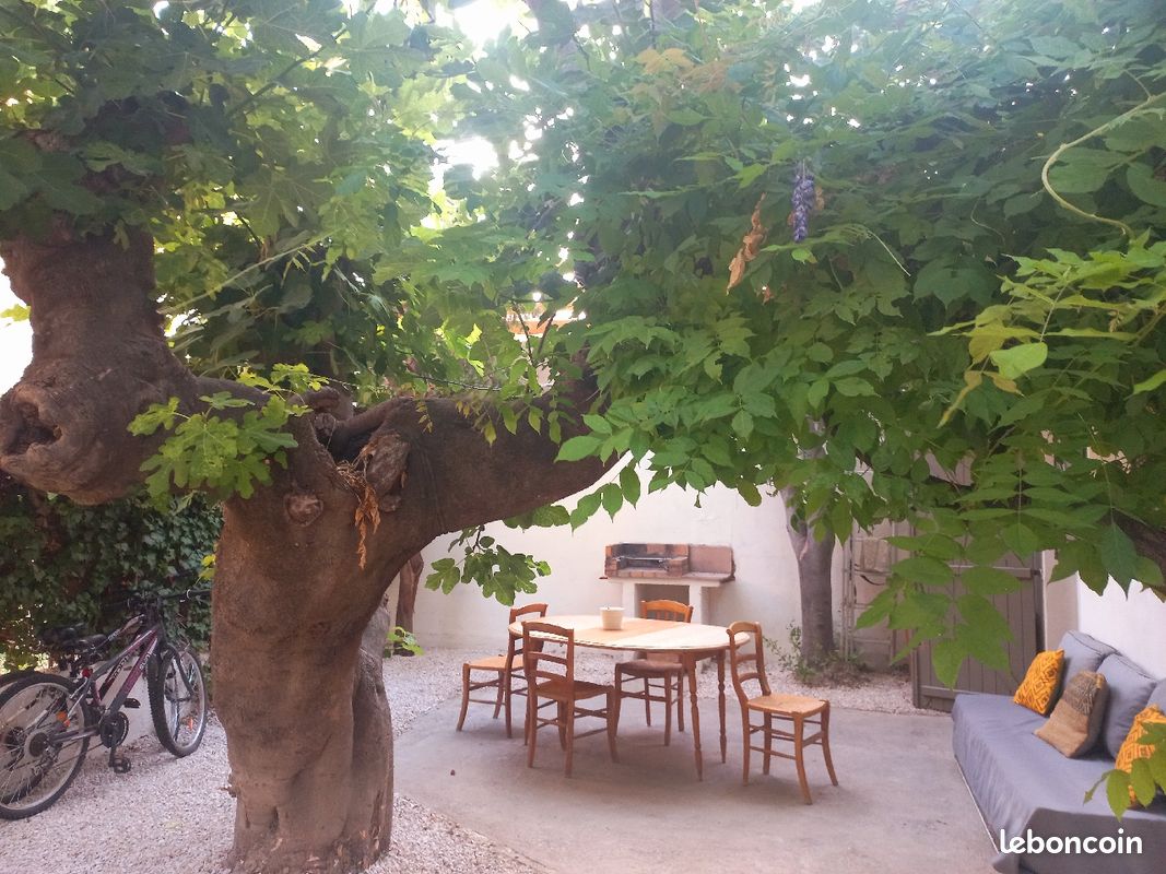 Vacances en Provence Avignon (image 12)