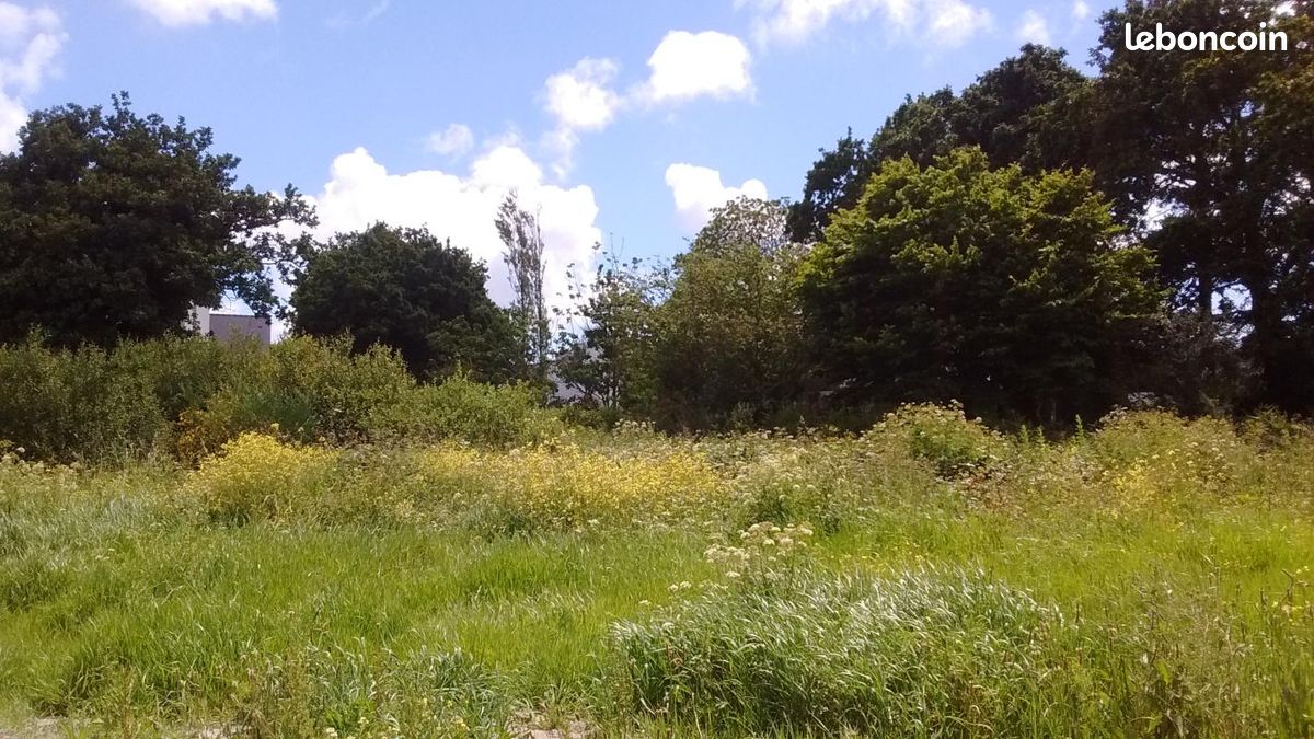 Terrain 650 m² · à Plougonvelin · 206 000 €