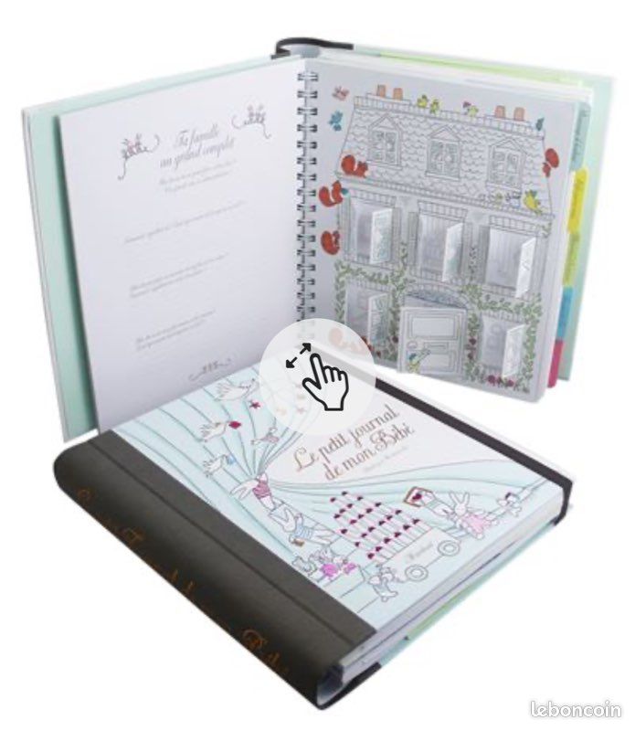 Livre de naissance (image 2)