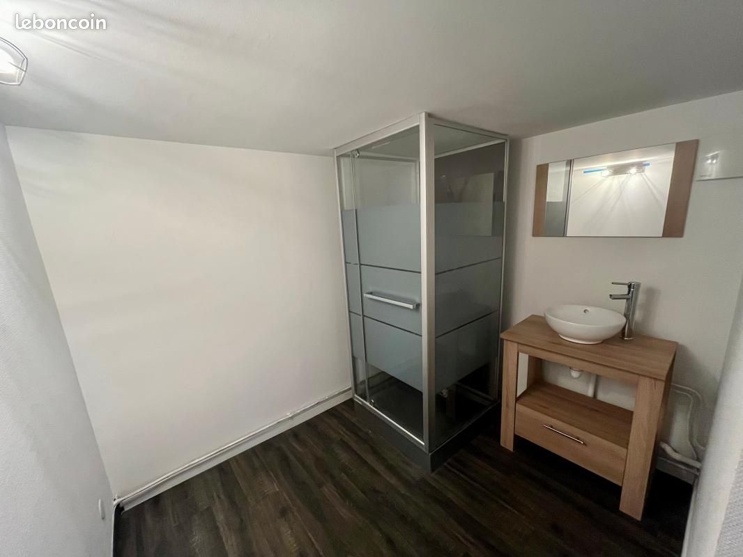 Appartement 2 pièces 48 m² - Limoges 87000 (image principale 6)