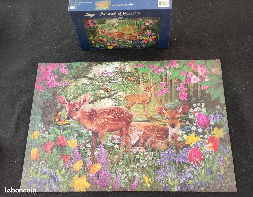 Puzzle Bluebird 1500 pièces (image 2)