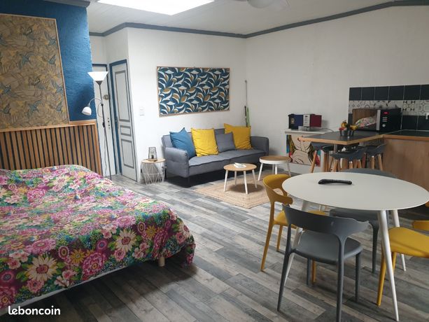Location studio meublé tout confort centre ville 480 cc