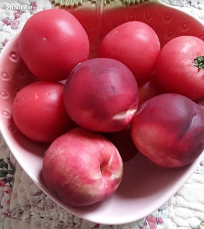 🍓🍓 Bel et grand Égouttoir Vintage, passoire, à fruits et son assiette en forme de fraise/ Barbotine (image 6)