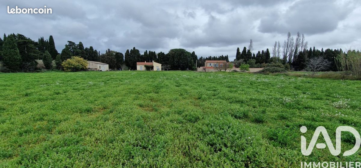 Terrain 329 m² Pézilla-la-Rivière (image 7)