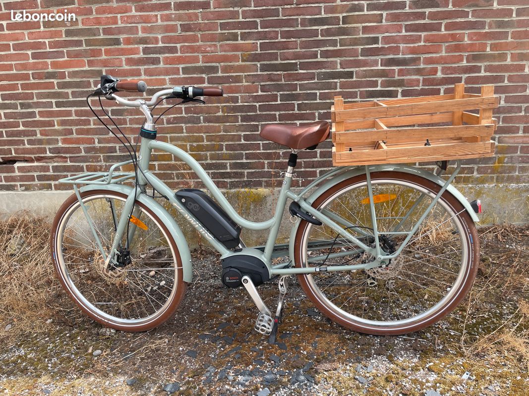 Velo ElectraTownie (image 1)