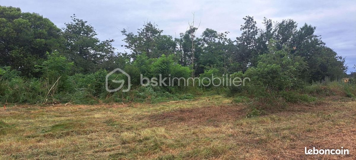 Terrain 1 151 m² Peyssies · 80 000 €