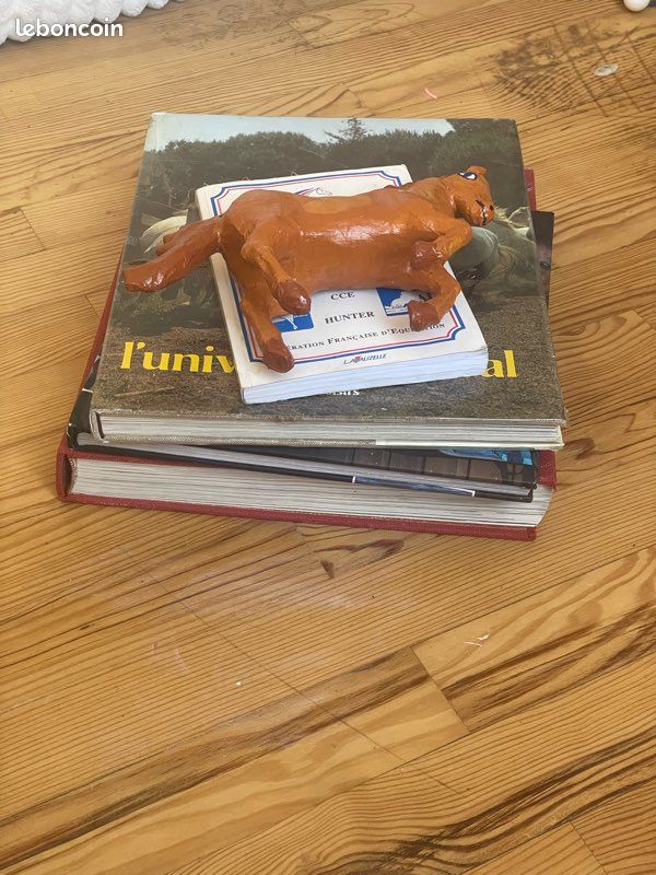 LOT livre cheval équitation divers + figurines de cheval (image 1)