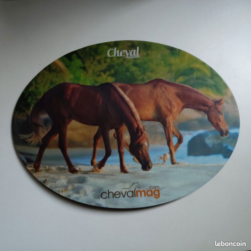 Tapis de souris Cheval Mag (image 1)