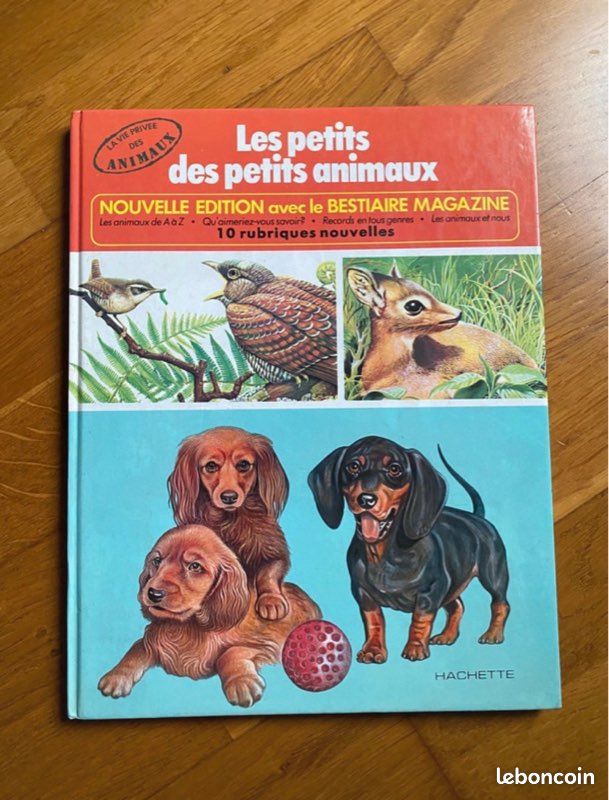 Les petits des petits animaux (image 1)