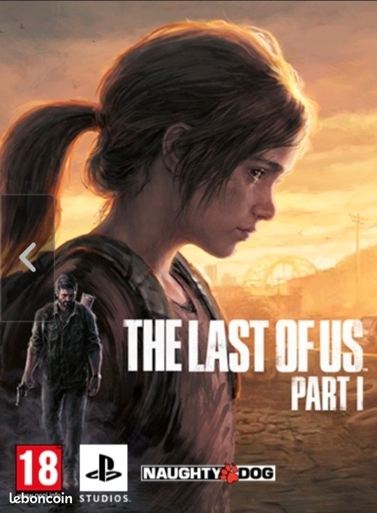 Jeux PC The Last Of Us/ Company Of Heroes 3 (image 1)