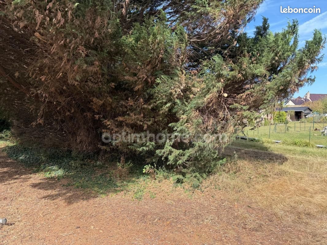 Terrain 7000 m² · à Warhem · 750 000 €