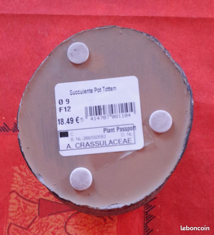 Cache pot tête H.13 cm (image 8)