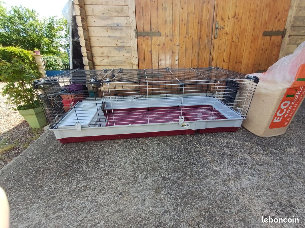 Grande cage pour lapin nain ou cochon d'inde (image 2)
