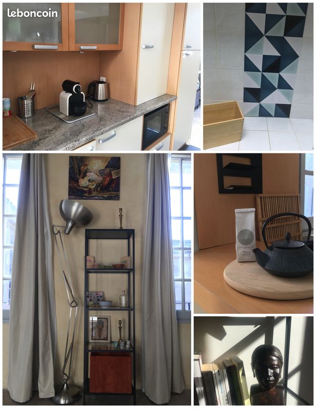 Location appartement loft au centre de Montpellier (image 5)