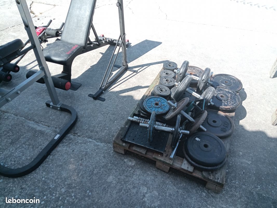 💪 Banc de musculation + lot d’haltères et poids – 200 le lot (image 4)