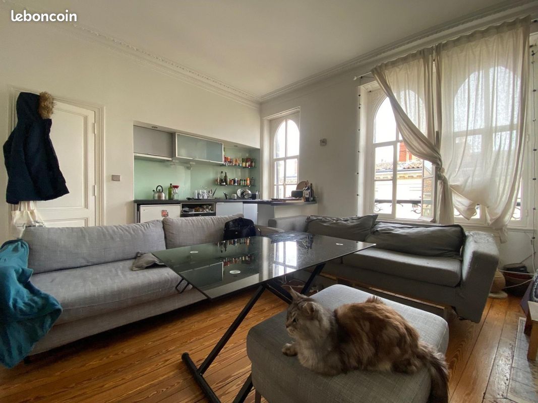 Appartement 2 pièces 46 m² - Bordeaux 33000 (image principale 2)