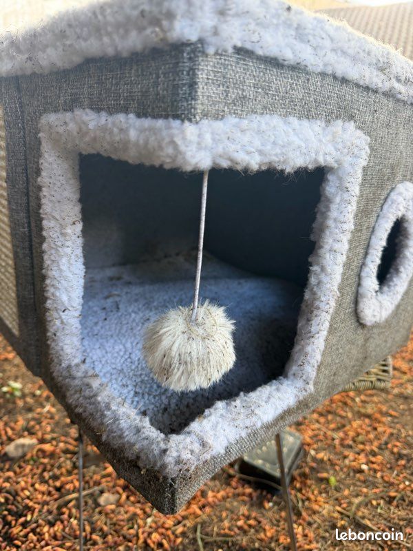 Petite maison chat (image 2)