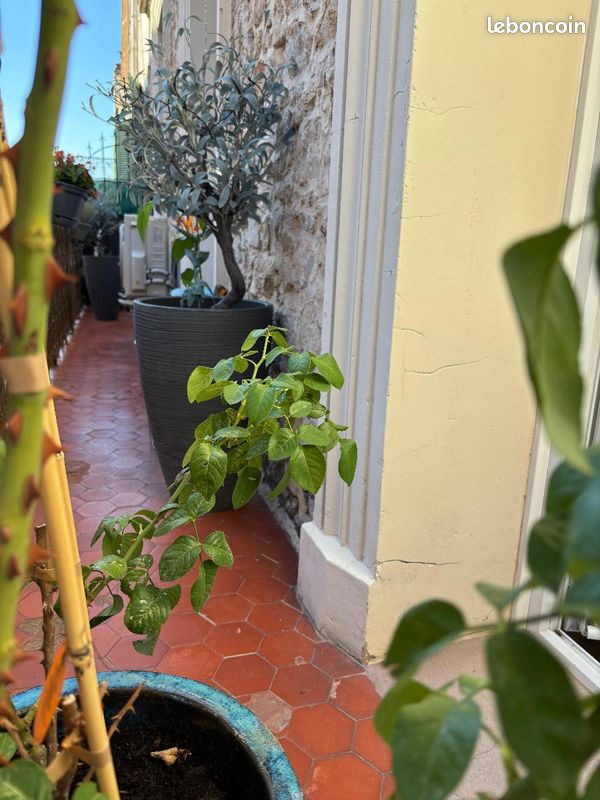 Appartement 2 pièces 52 m² · à Draguignan · 52 m² · 158 000 €