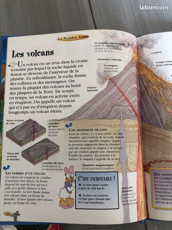Lot livre Disney (image 5)
