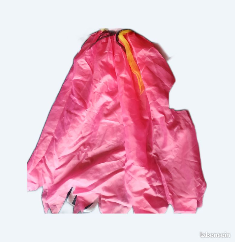 Déguisement sorcière (6/8 ans) (image 1)