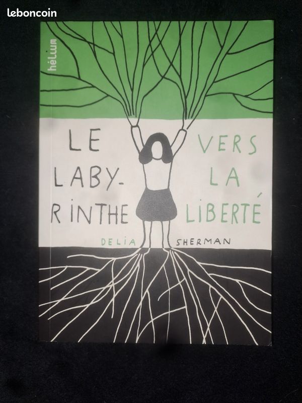 Le labyrinthe vers la liberté (Dès 11 ans) (image 1)
