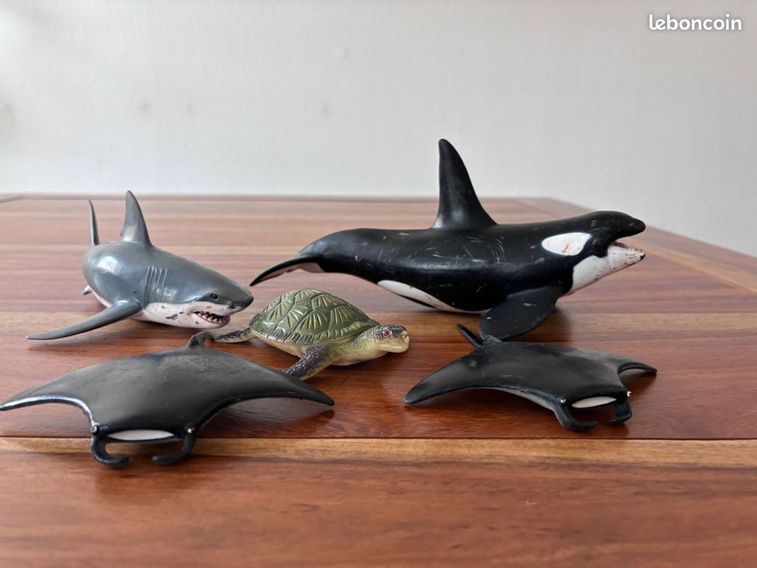 Papo- Orque l'univers Marin Animaux Figurine, 56000, Gris