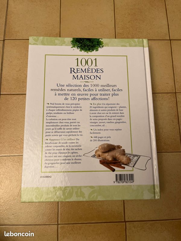 1001 remèdes maison (image 2)
