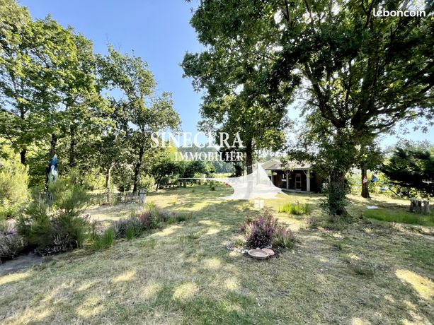Terrain 1 pièce 965 m²
