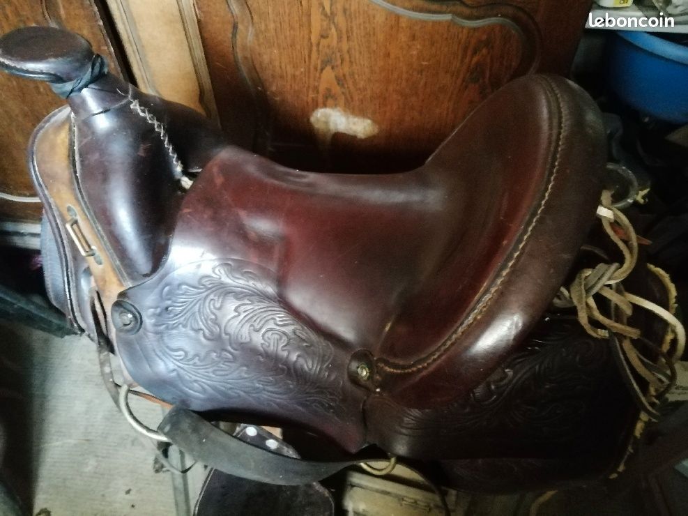 Selle cheval western (image 2)