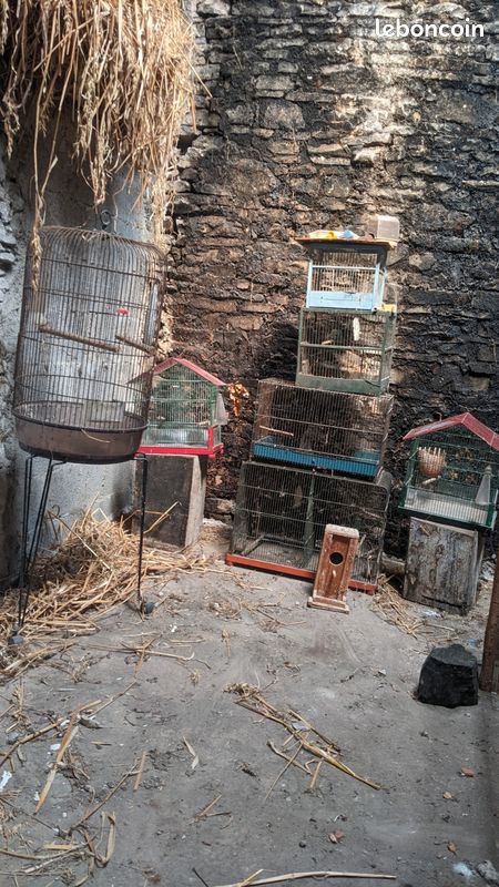 Volieres (image 1)