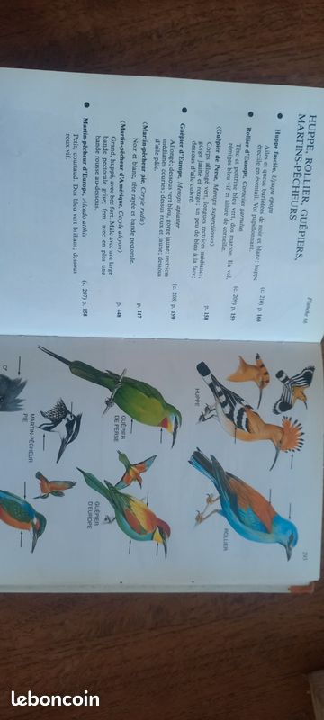 Livre oiseaux de france (image 4)