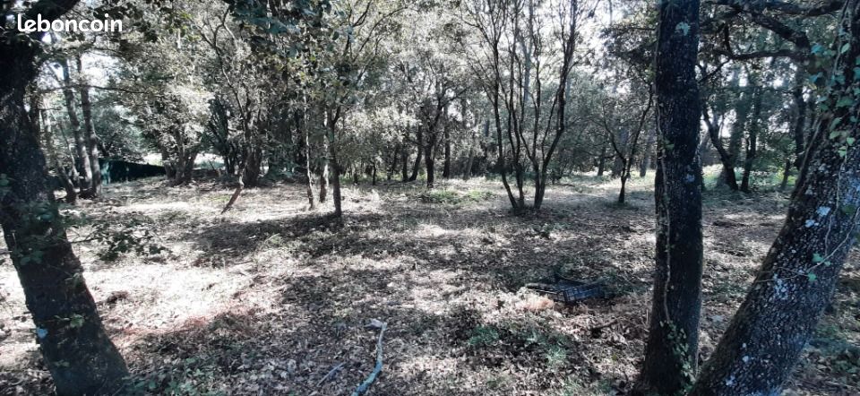 Terrain 732 m² · au Thoronet · 169 000 €