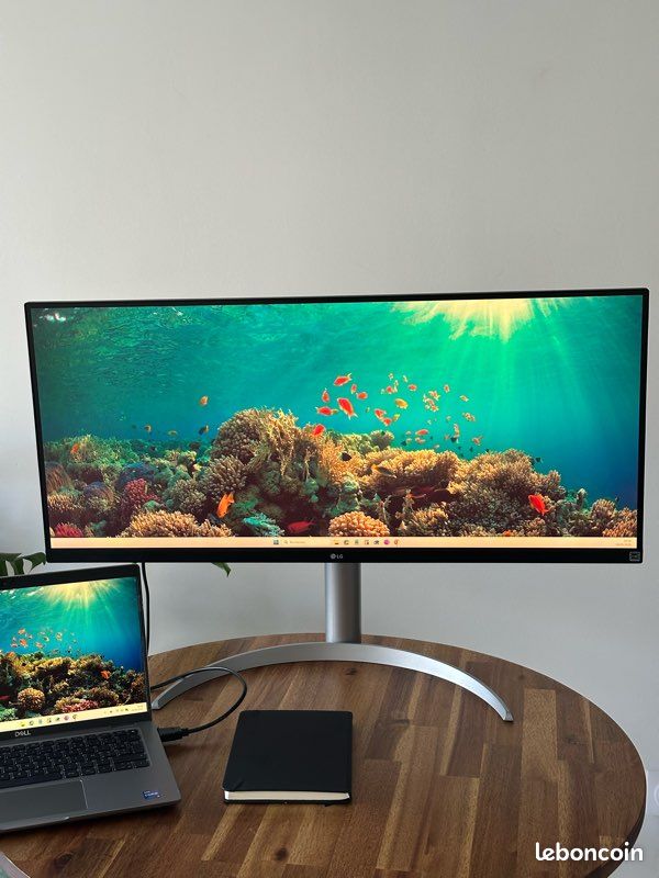 Écran LG ultra wide 34WQ65X-W (image 1)