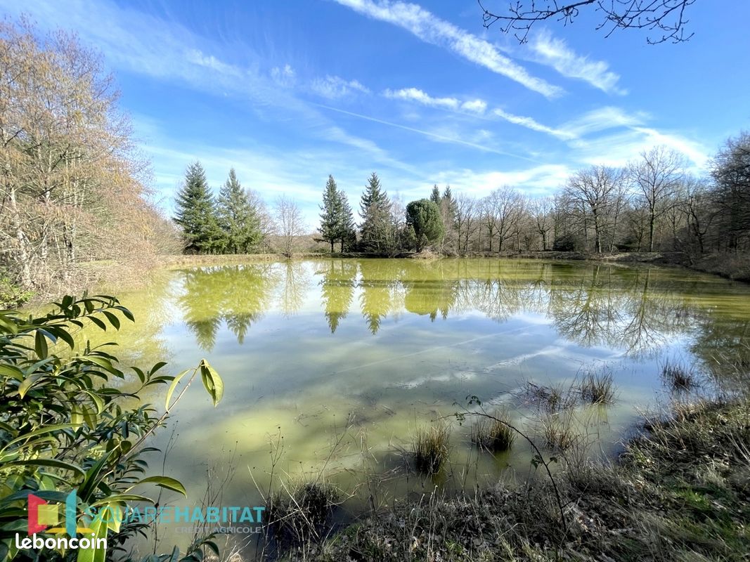 Terrain 33075 m² DOMATS (image 1)