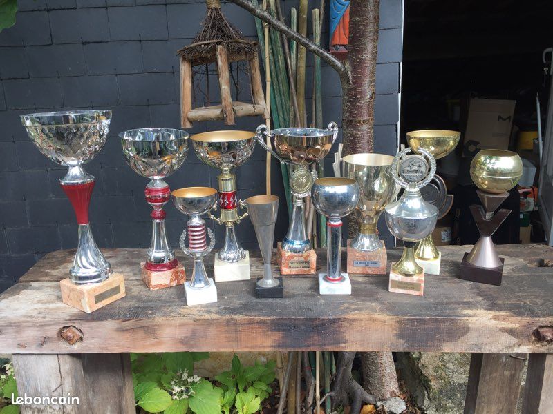 Coupe récompense trophée (image 1)