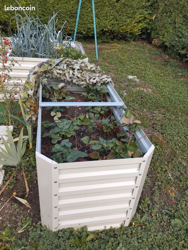 Jardinières, potager surélevé en acier (image 1)