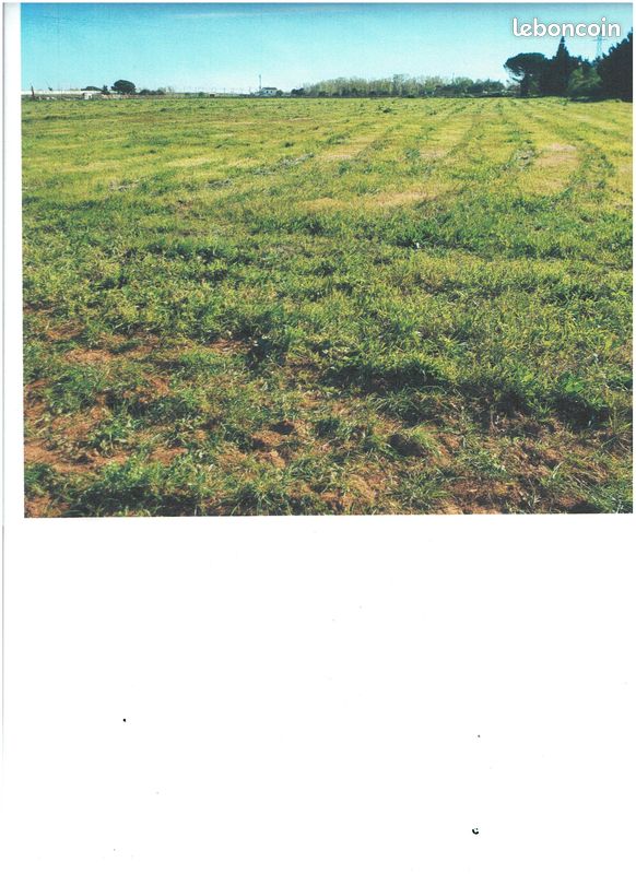 Terrain agricole constructible · à Aimargues · 120 000 €