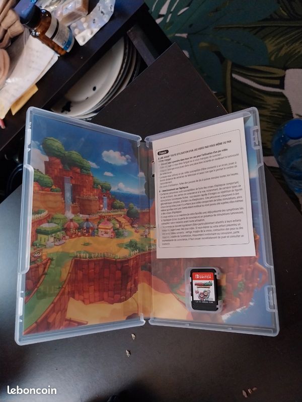 Mario et Luigi l'épopée fraternelle (image 5)