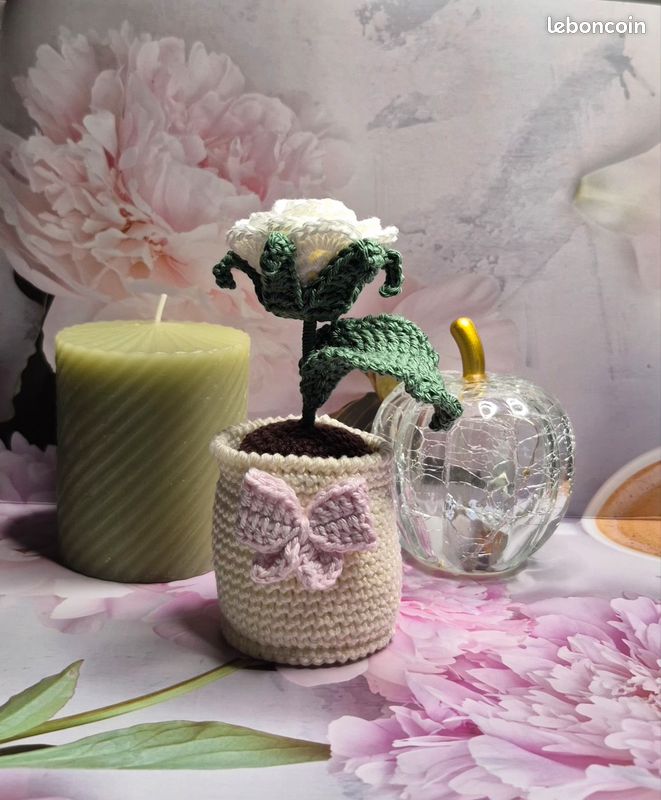 Pot rose blanche (image 1)