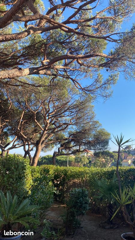 Appartement 3 pièces 36 m² · à Roquebrune-sur-Argens · 36 m² · 220 000 €