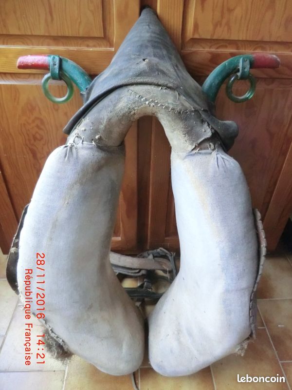 Collier de cheval (image 2)
