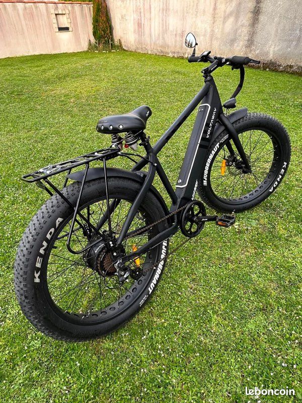 Wildbeast vélo électrique (image 2)