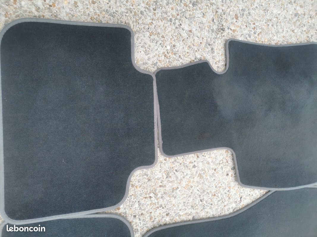 Tapis voiture BMW X2 (image 3)