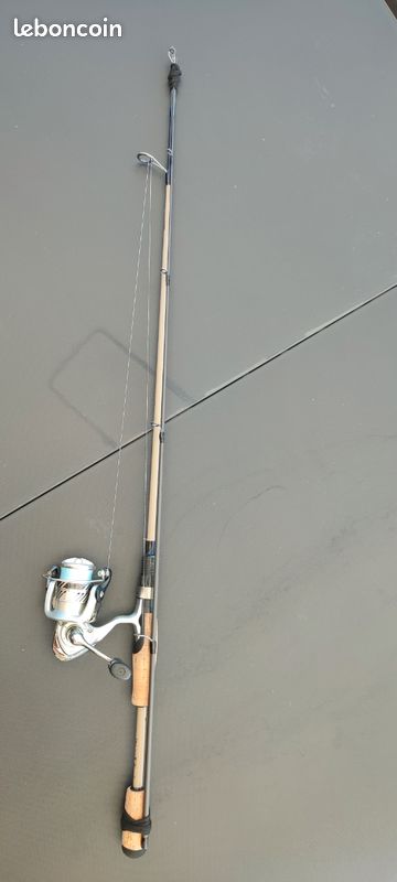 Ensemble Canne et moulinet spinning (image 1)