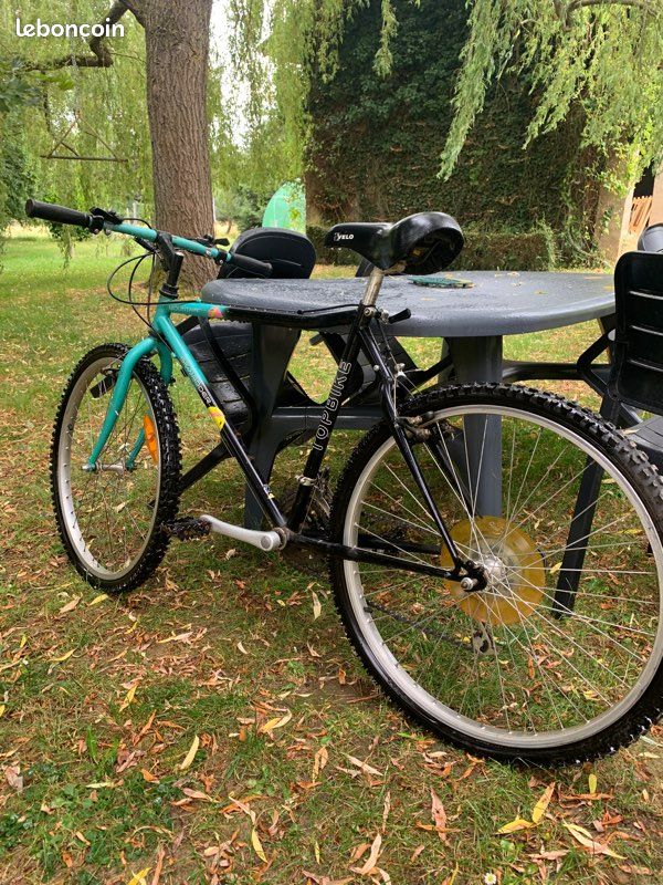 VTT topbike skwadder (image 2)
