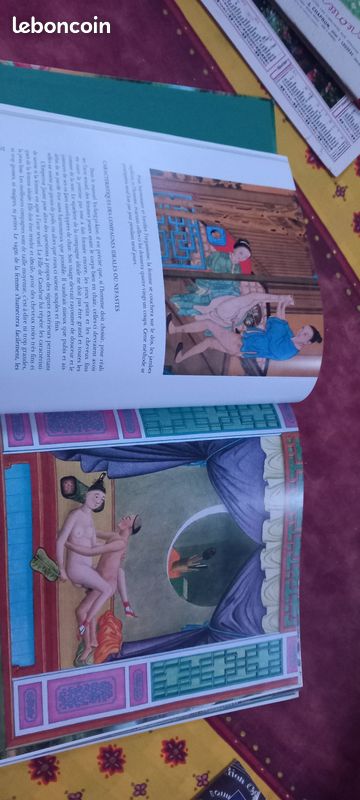 L art d aimer des anciens chinois (image 2)