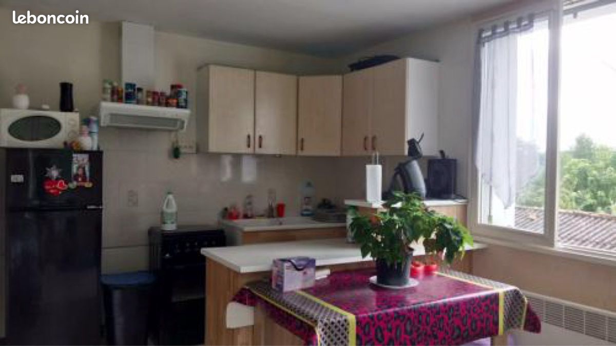 Appartement 30m2 - Saint Aulaye-Puymangou 24410 (image principale 0)